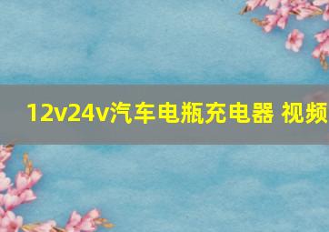 12v24v汽车电瓶充电器 视频